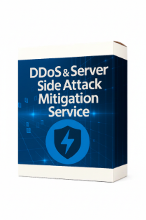 DDoS & Server Side Attack Mitigation Service